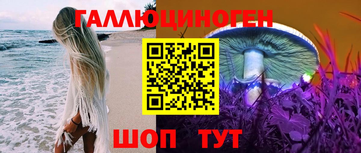 Псилоцибиновые грибы Cubensis Новочебоксарск