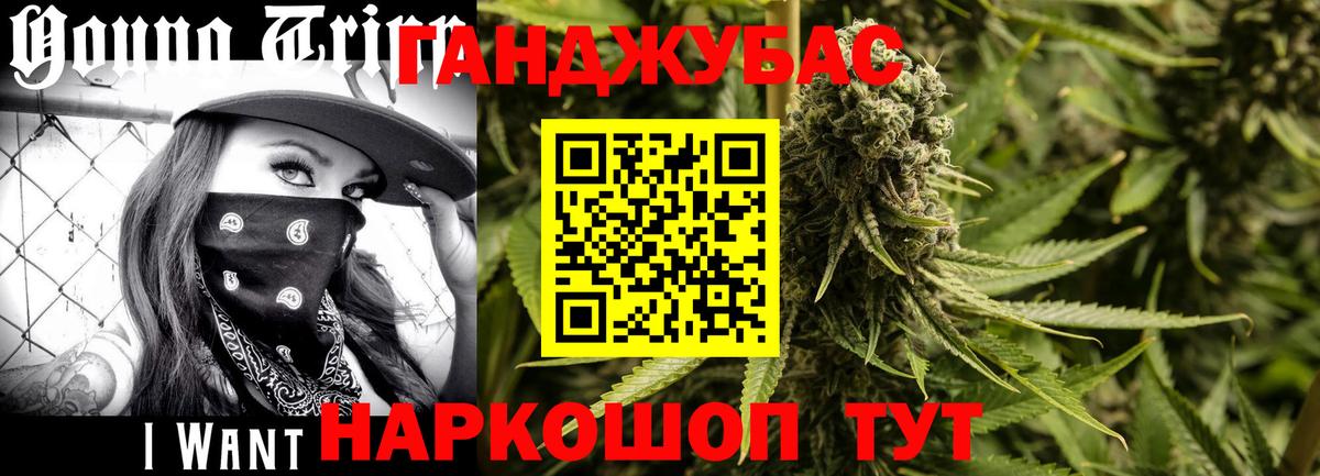 Бошки Шишки индика  Конопля ГИДРОПОН  Вход с VPN  Каннабис тримм  Марихуана White Widow  Новочебоксарск 